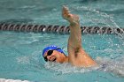 Swimming vs Bentley  Wheaton College Swimming vs Bentley. - Photo By: KEITH NORDSTROM : Wheaton, Swimming, Bentley